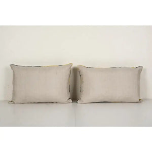 Silk Ikat Velvet Pillow Cover Set of 2 | 16'' x 24''