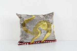 Silk Ikat Velvet Pillow Cover | 17'' x 22''