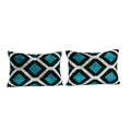 Silk Ikat Velvet Pillow Cover Set of 2 | 16'' x 22''