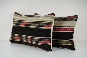 Kilim Pillow Cover Set of 2 | 16'' x 24''