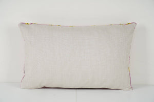 Silk Ikat Velvet Pillow Cover | 16'' x 24''