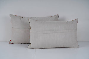Uzbek Roller Printed Pillow Cover Set of 2 | 14'' x 22''