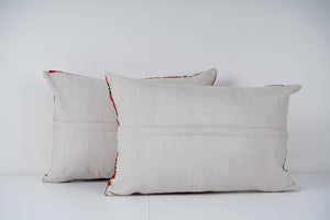 Uzbek Roller Printed Pillow Cover Set of 2 | 15'' x 23''