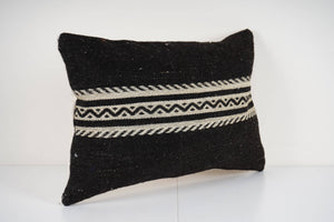 Kilim Pillow Cover | 16'' x 24''