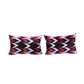 Silk Ikat Velvet Pillow Cover Set of 2 | 16'' x 24''