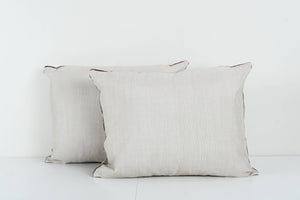 Silk Ikat Velvet Pillow Cover Set of 2 | 17'' x 22''