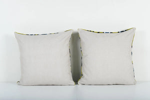 Silk Ikat Velvet Pillow Cover | 20'' x 20''