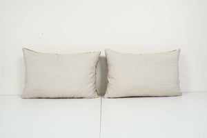 Silk Ikat Velvet Pillow Cover Set of 2 | 16'' x 24''