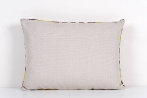 Silk Ikat Velvet Pillow Cover Set of 2 | 17'' x 22''