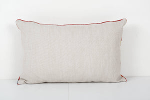 Fish Silk Ikat Velvet Pillow Cover | 16'' x 24''