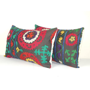 Suzani Pillow Cover Set of 2 | 16'' x 24''