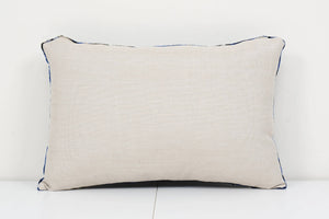 Silk Ikat Velvet Pillow Cover | 16'' x 24''