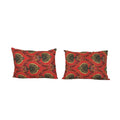 Kilim Pillow Cover Set of 2 | 17'' x 24''