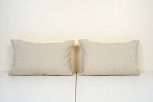 Silk Ikat Velvet Pillow Cover Set of 2 | 16'' x 24''