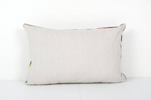 Silk Ikat Velvet Pillow Cover | 16'' x 24''