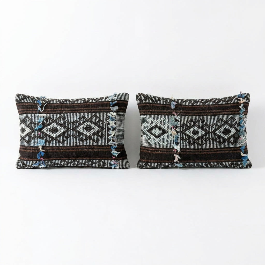 Kilim Pillow Cover Set of 2 | 14'' x 20''