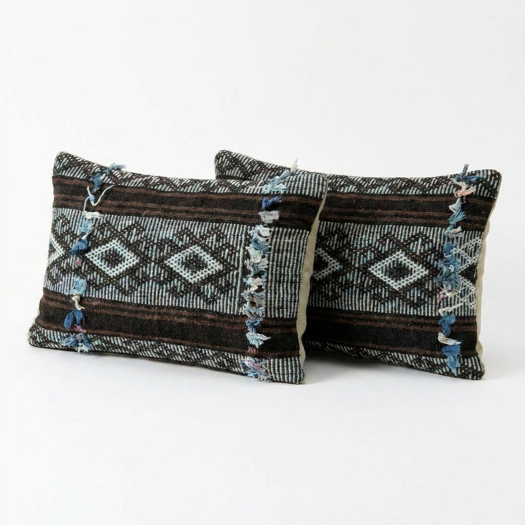 Kilim Pillow Cover Set of 2 | 14'' x 20''