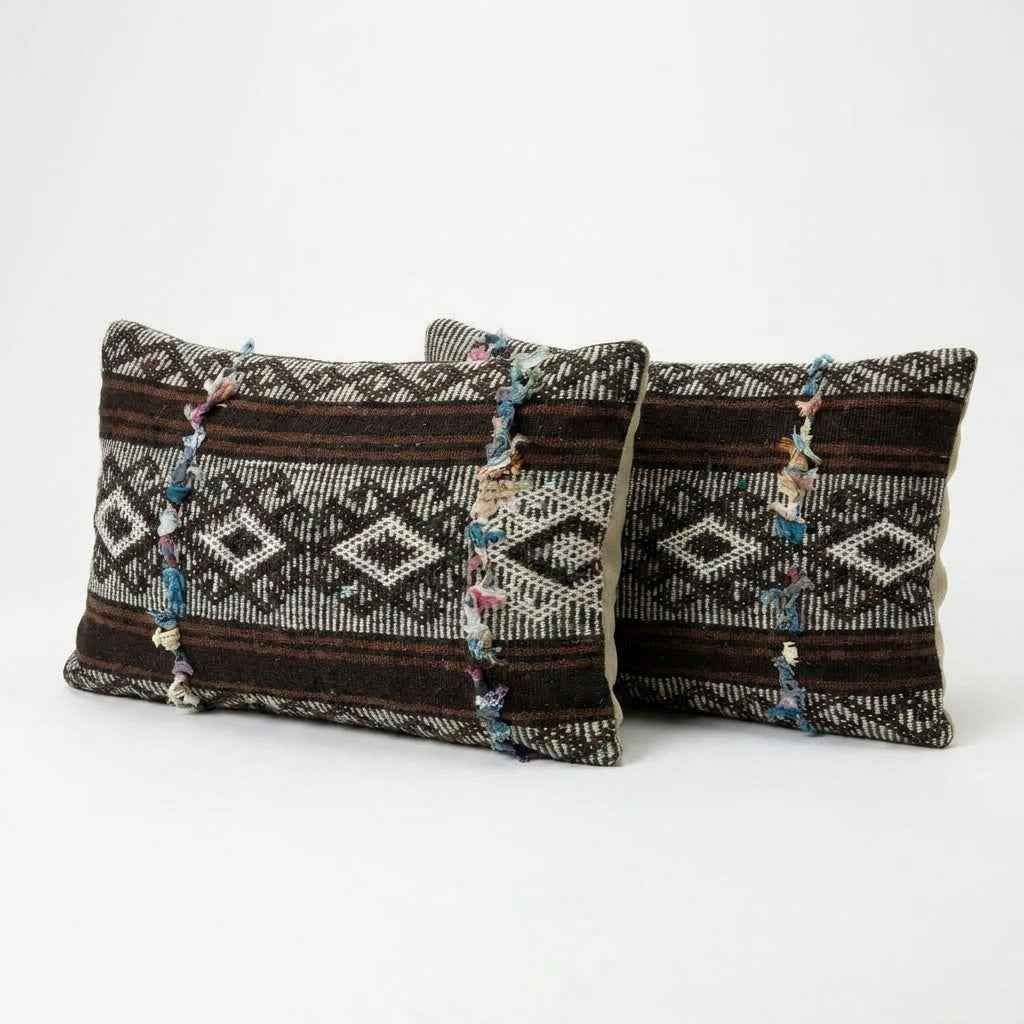 Kilim Pillow Cover Set of 2 | 14'' x 20''