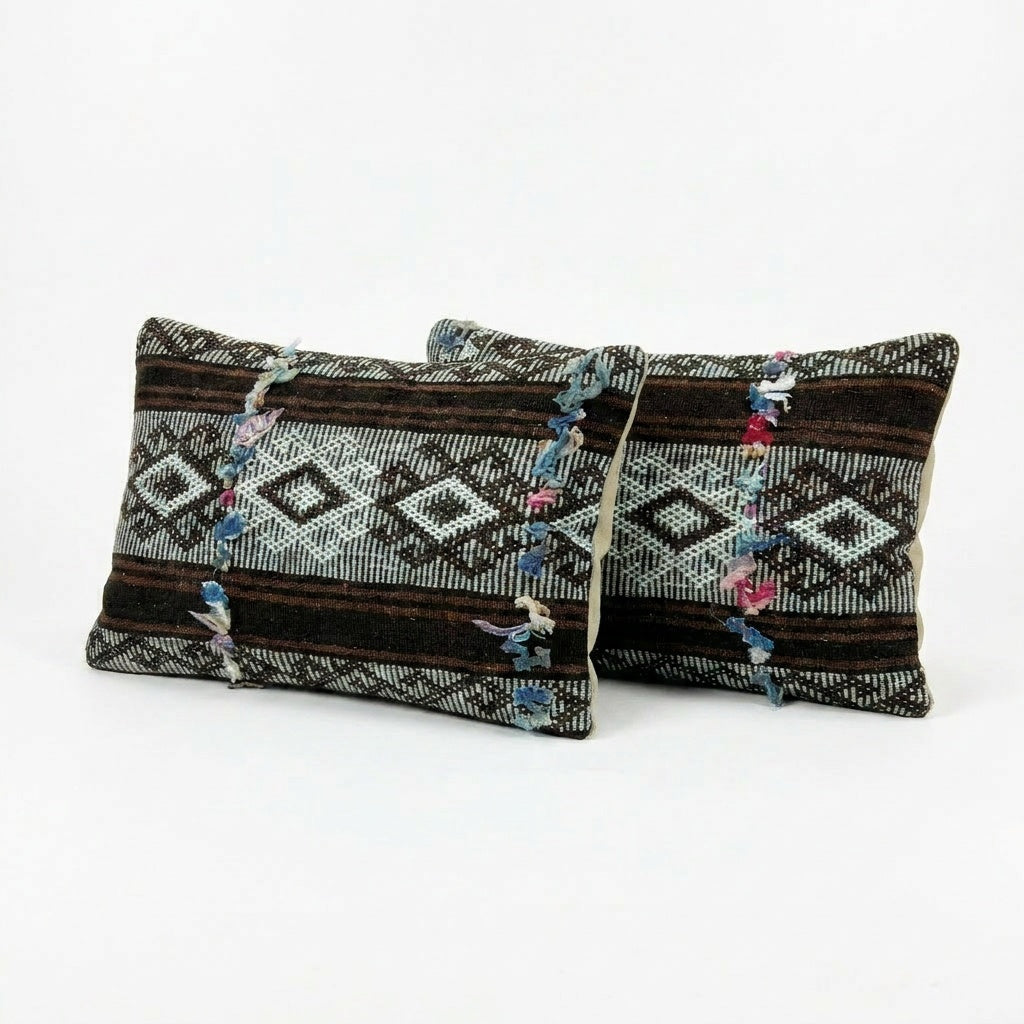 Kilim Pillow Cover Set of 2 | 14'' x 20''