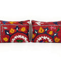 Uzbek Suzani Pillow Cover Set of 2 | 16'' x 24''