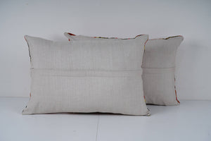 Uzbek Roller Printed Pillow Cover Set of 2 | 15'' x 22''