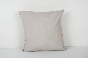 Silk Ikat Velvet Pillow Cover | 24'' x 24''