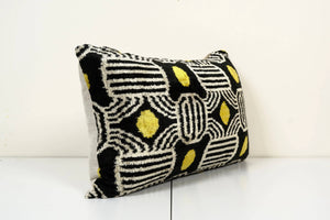 Silk Ikat Velvet Pillow Cover | 16'' x 24''