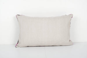 Silk Ikat Velvet Pillow Cover | 16'' x 24''