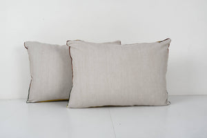 Tiger Silk Ikat Velvet Pillow Cover Set of 2 | 16'' x 24''