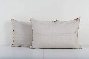 Silk Ikat Velvet Pillow Cover Set of 2 | 16'' x 24''
