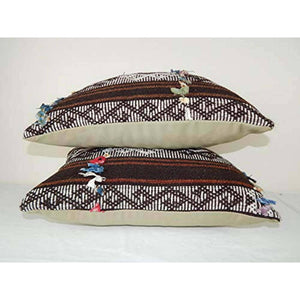Kilim Pillow Cover Set of 2 | 14'' x 20''