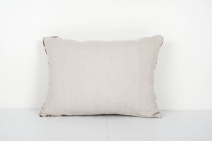 Silk Ikat Velvet Pillow Cover | 16'' x 22''