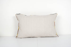 Silk Ikat Velvet Pillow Cover Set of 2 | 16'' x 24''