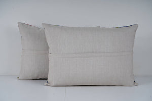Uzbek Roller Printed Pillow Cover Set of 2 | 16'' x 22''