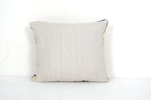 Silk Ikat Velvet Pillow Cover | 16'' x 18''